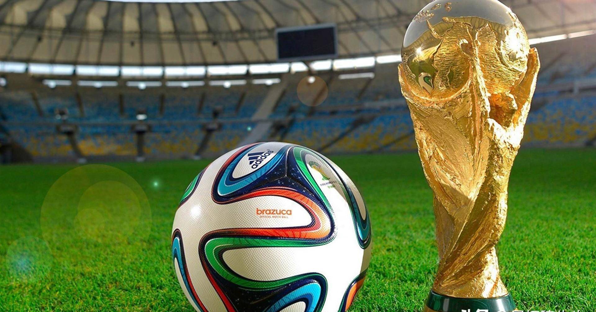 的共同努力 的共同努力